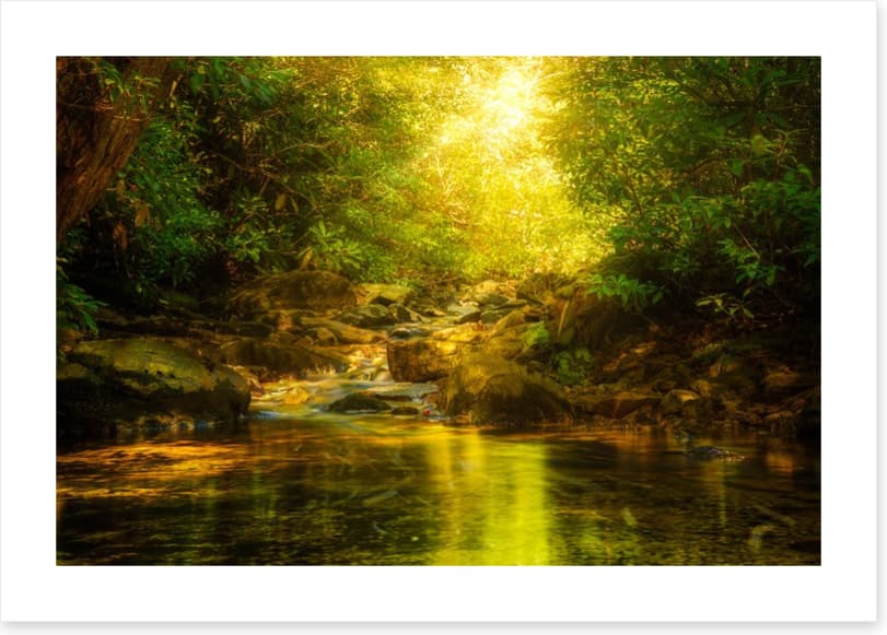 Sunburst river rays - Image 2