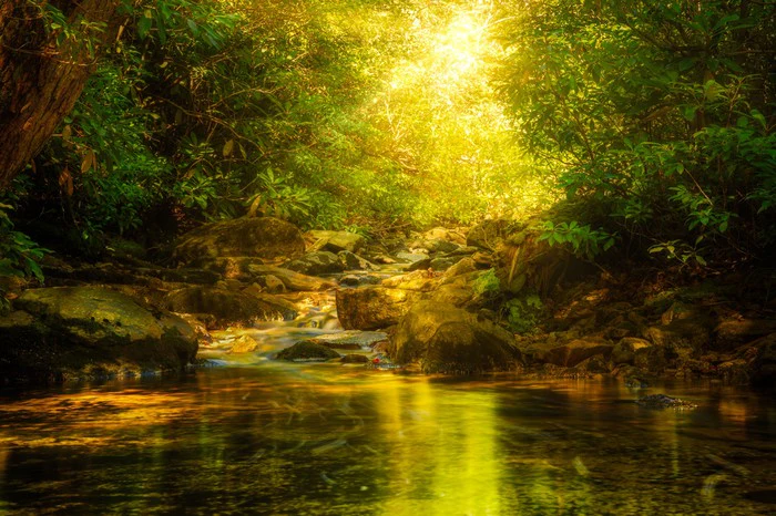 Sunburst river rays