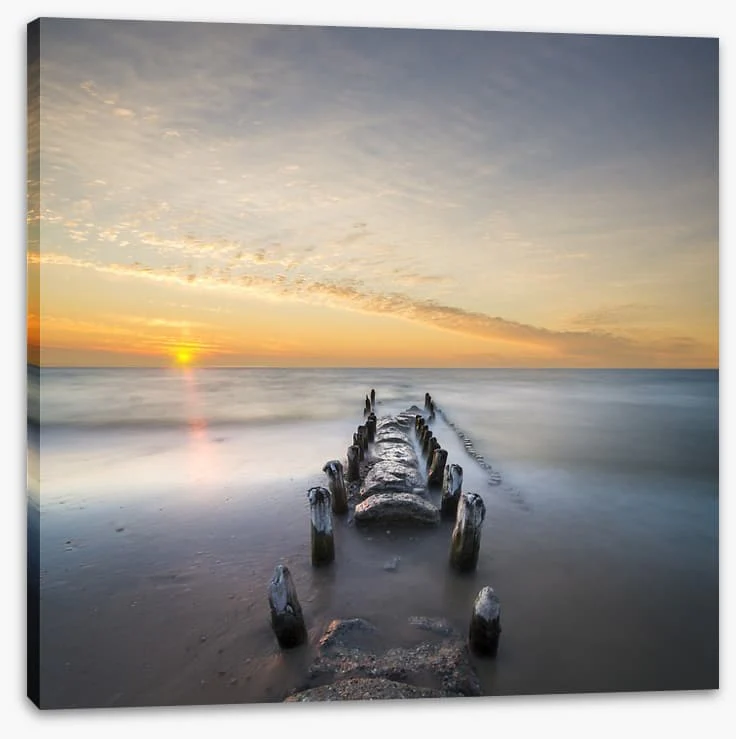 Sunken boardwalk - Image 2