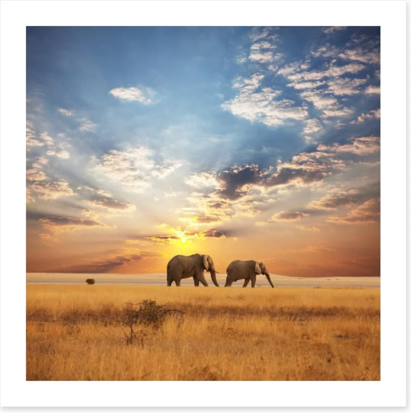 Sunset for two - Image 2