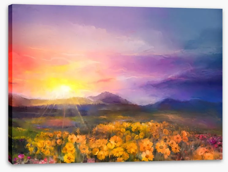Golden daisy sunset - Image 2