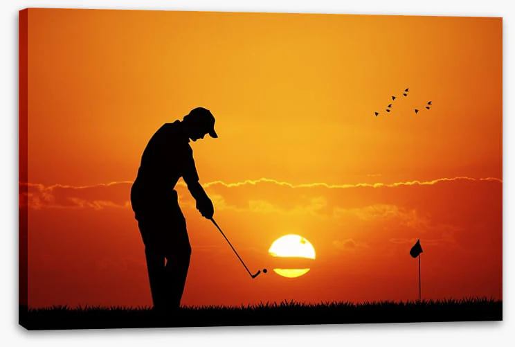 Sunset swing - Image 2