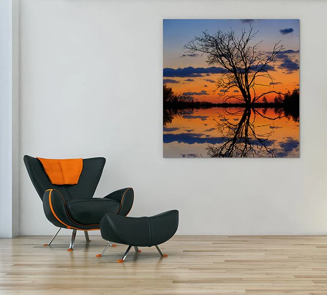 Sunset tree silhouette - Image 3