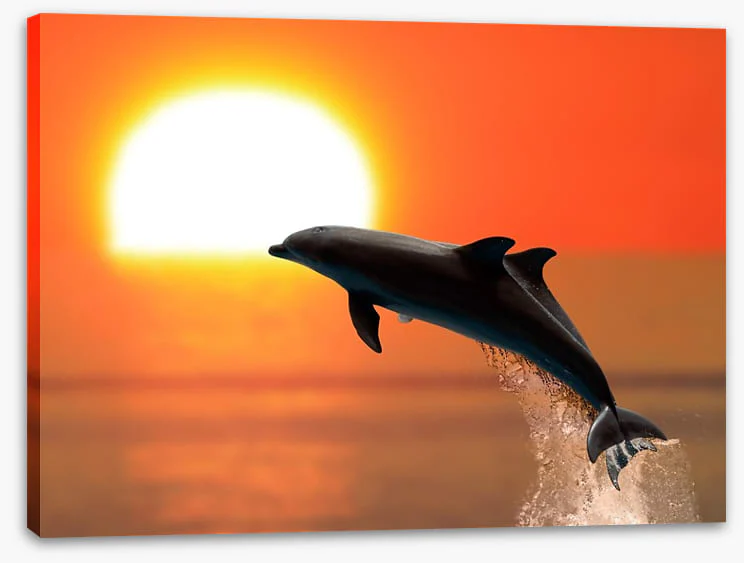 Synchronised at sunset - Image 2