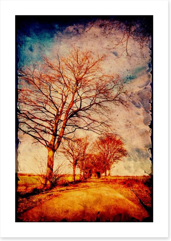 Take me home - Image 2