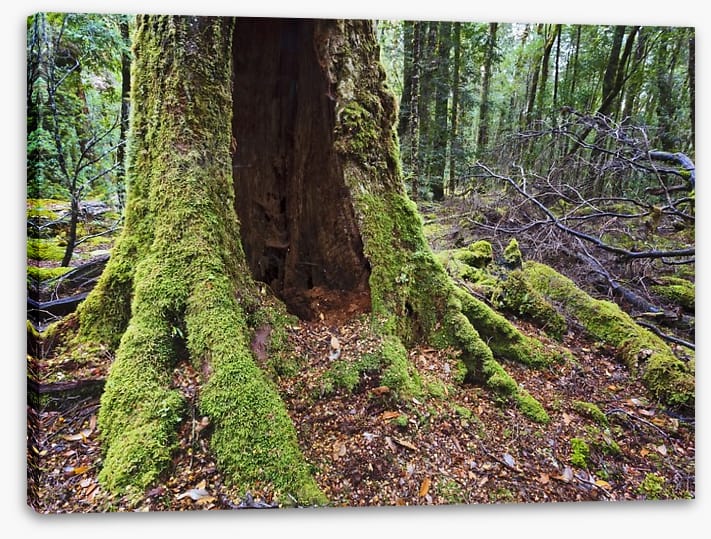 Tasmania - Image 2