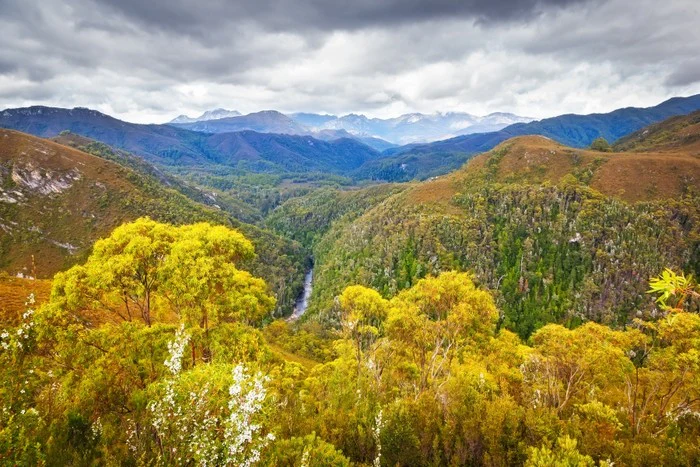Tasmanian wilderness