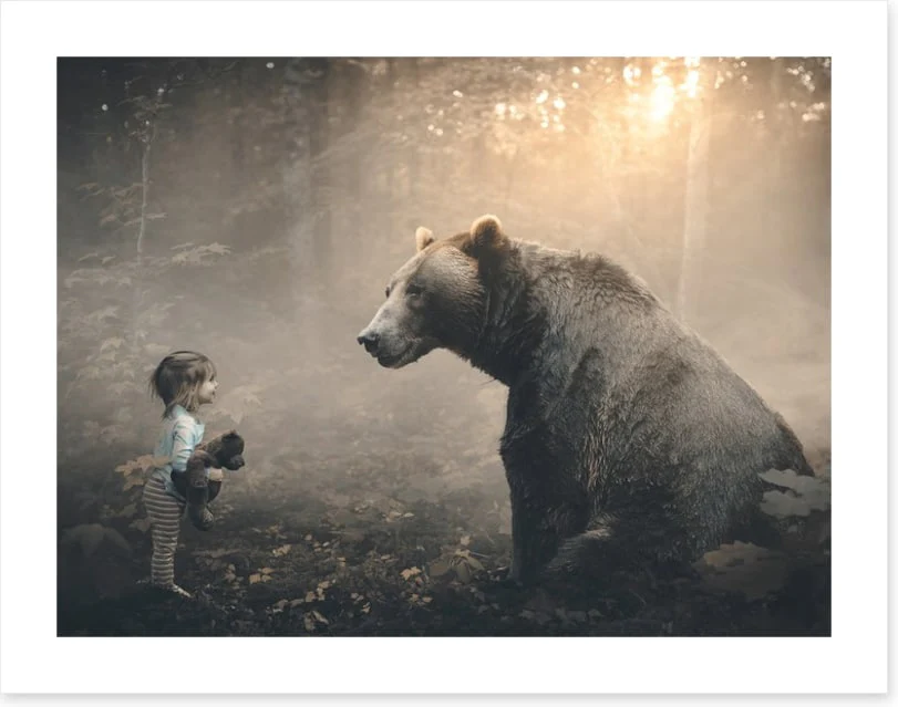 Teddy meets bear - Image 2