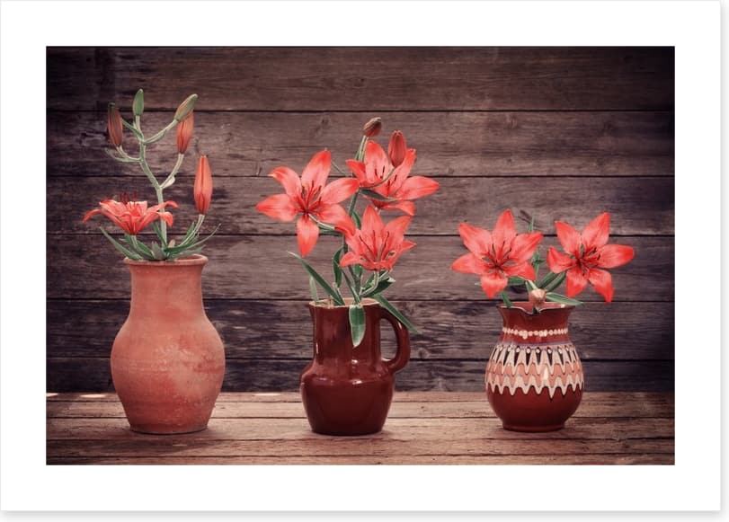 Terracotta lillies - Image 2