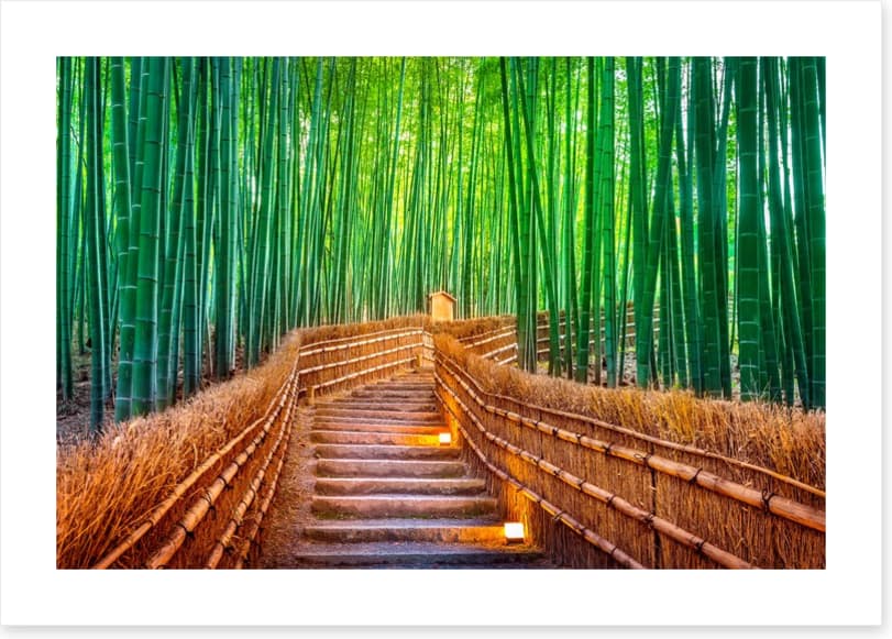 The bamboo bridge - Image 2