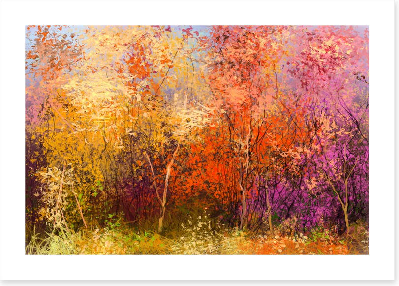 The beauty of Fall - Image 2