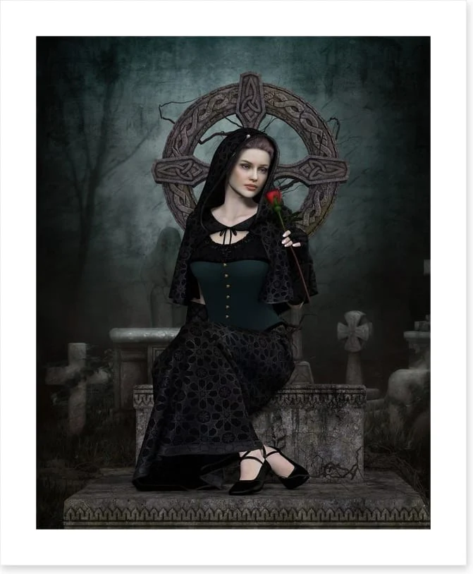 The black widow - Image 2