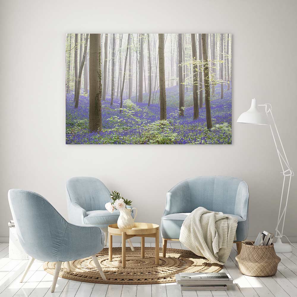 The bluebell forest - Image 4