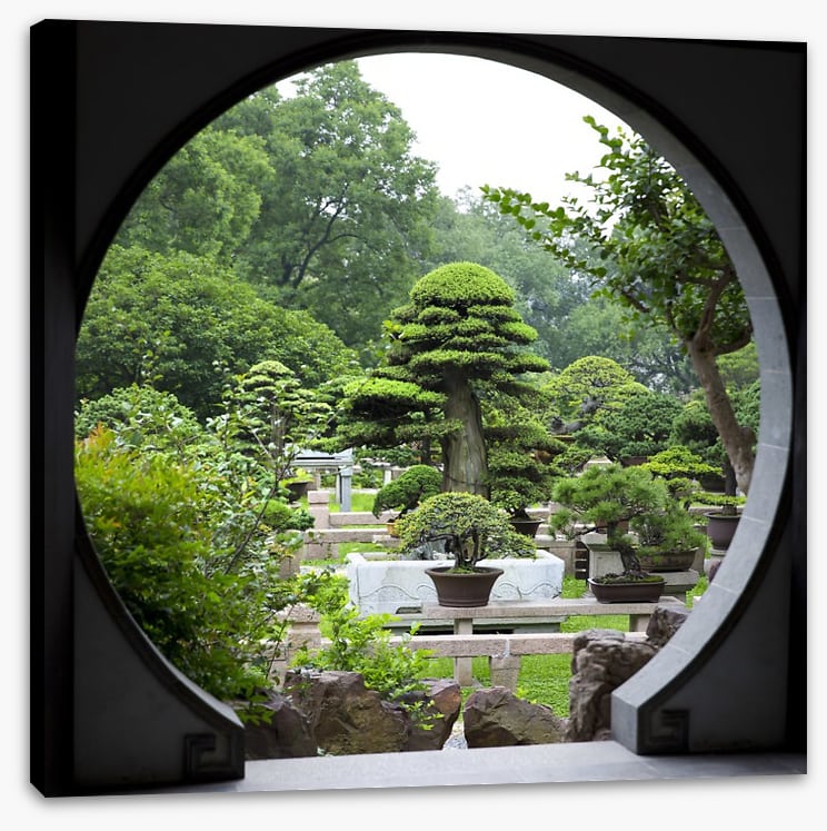 The bonsai garden - Image 2