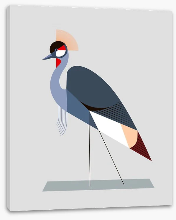 The crowned crane - Image 2