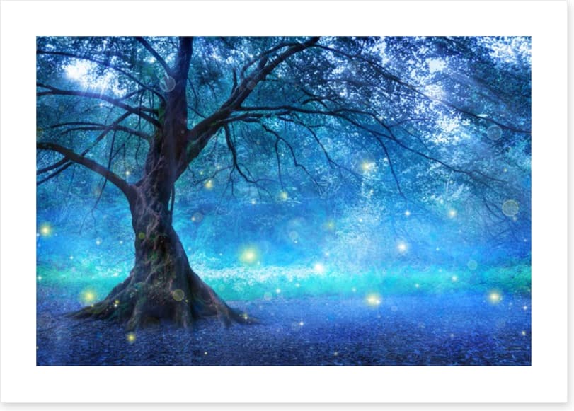 The fairy tree - Image 2