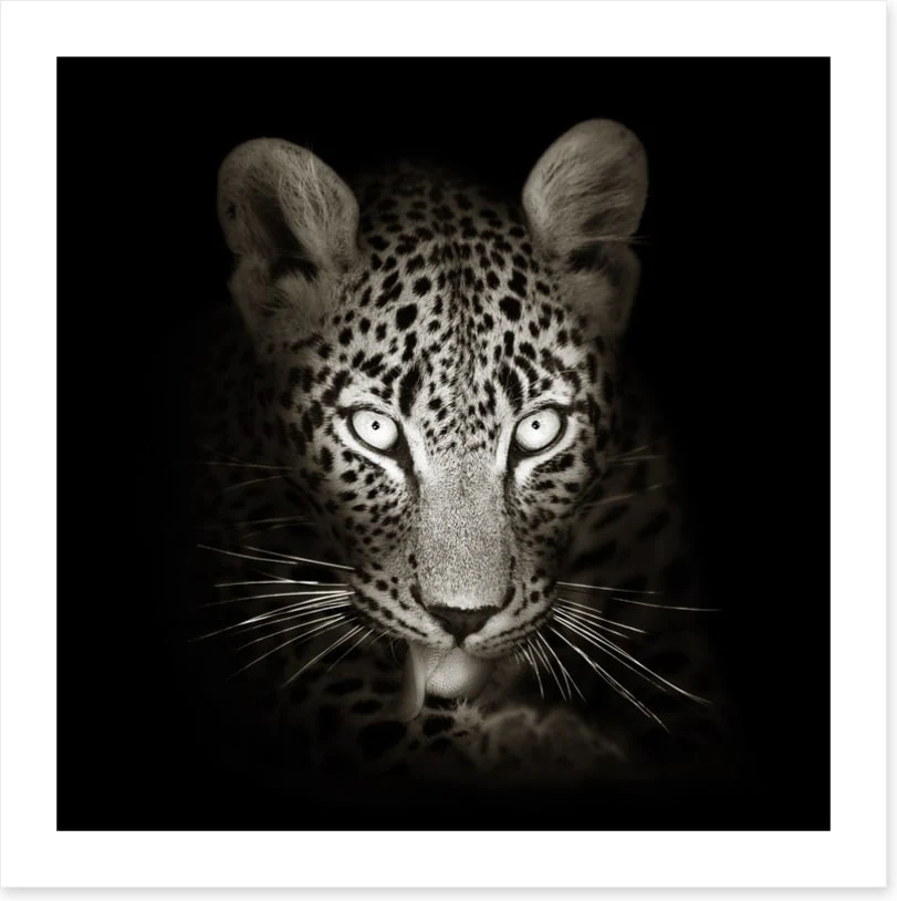 The intense leopard - Image 2