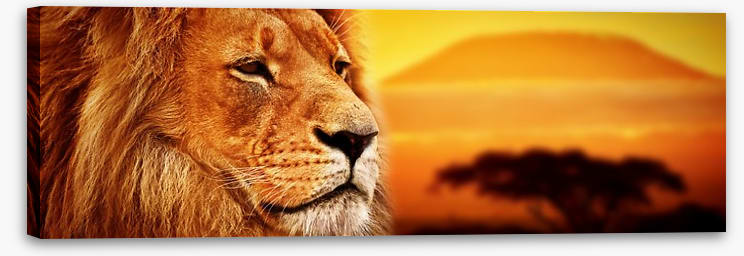 The lion at Mount Kilimanjaro sunset - Image 2