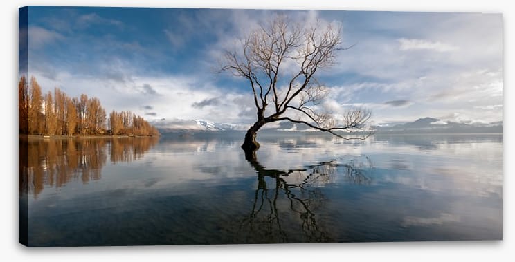 The lone tree, Lake Wanaka - Image 2