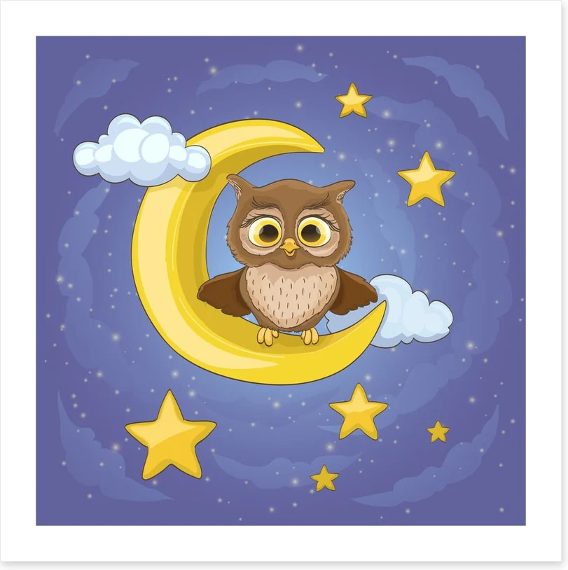 The moon owl - Image 2