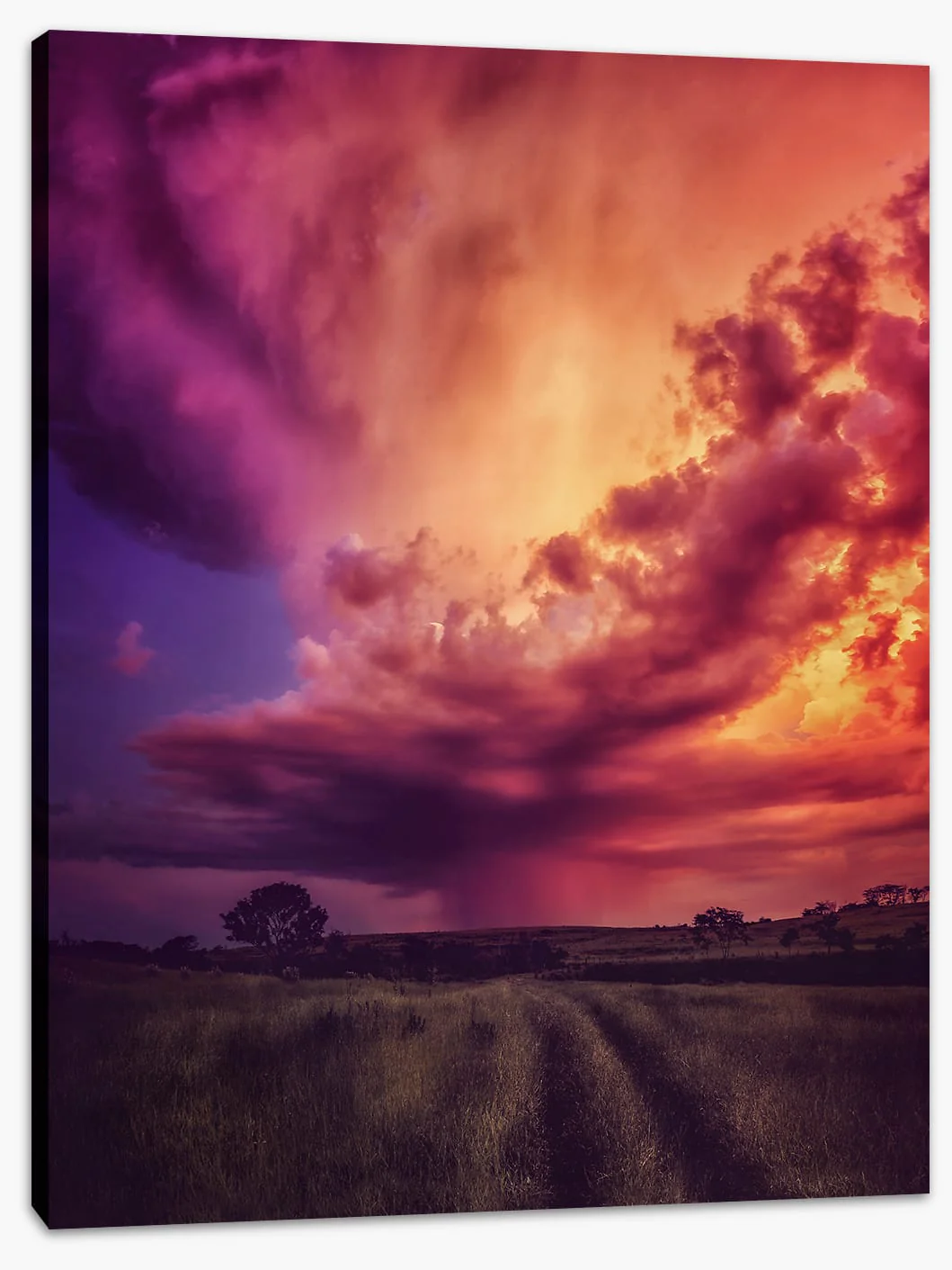 The orange storm - Image 2