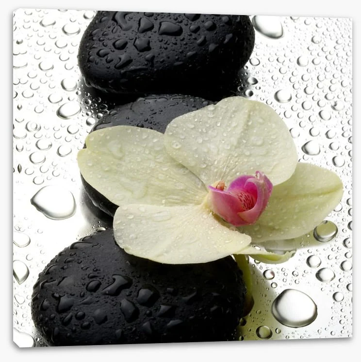 The patter of raindrops - Image 2