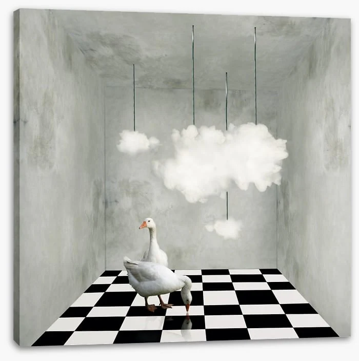 The room with clouds and ducks - Image 2