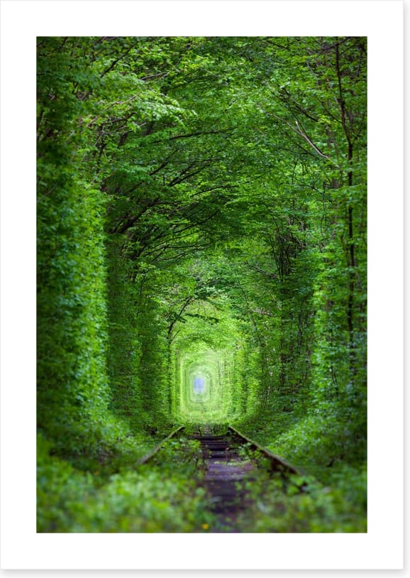 The Tunnel of Love, Ukraine - Image 2