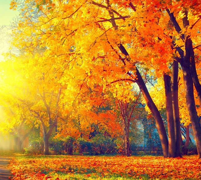Those autumn days