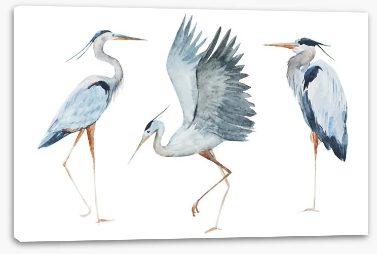 Three heron birds - Image 2