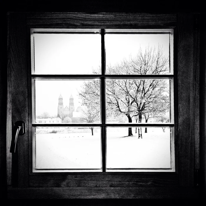 Through the window