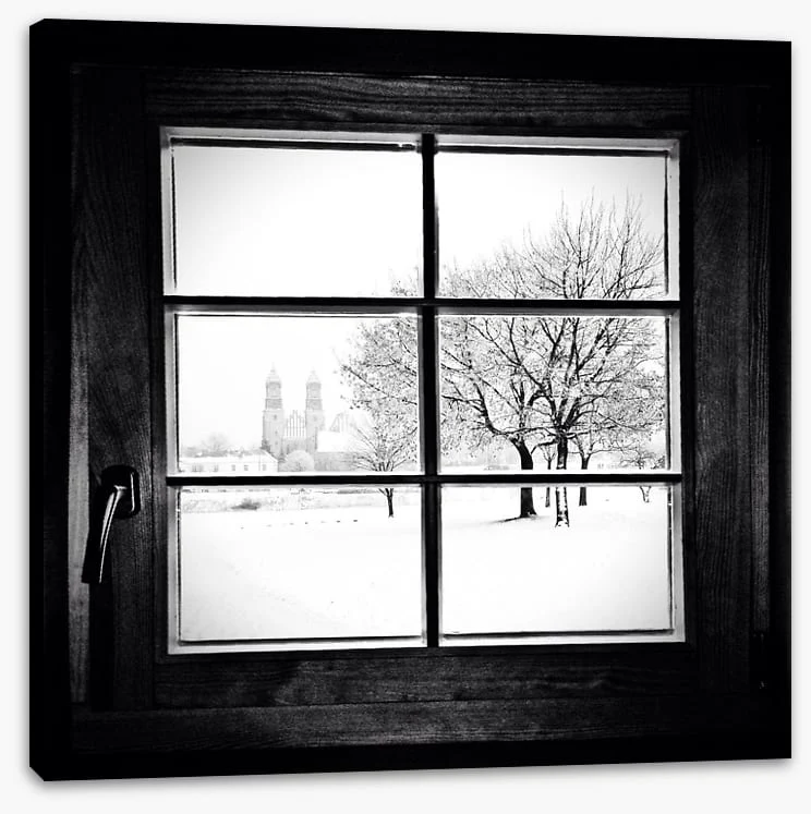 Through the window - Image 2