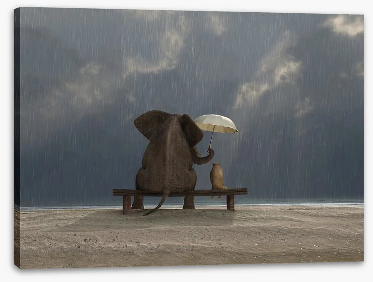Together in the rain - Image 2