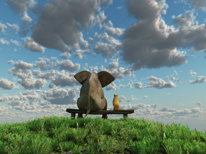Together on the hill