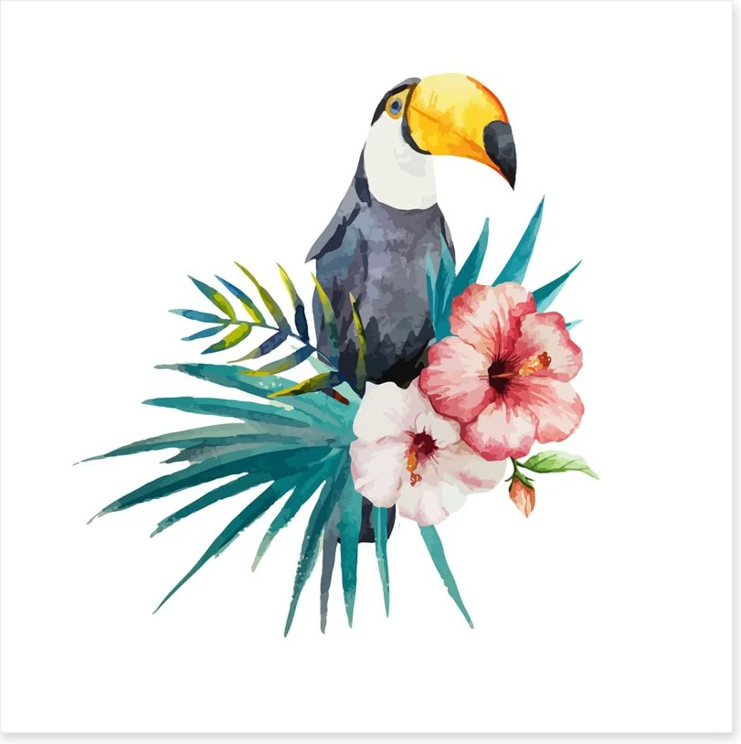 Toucan grove - Image 2
