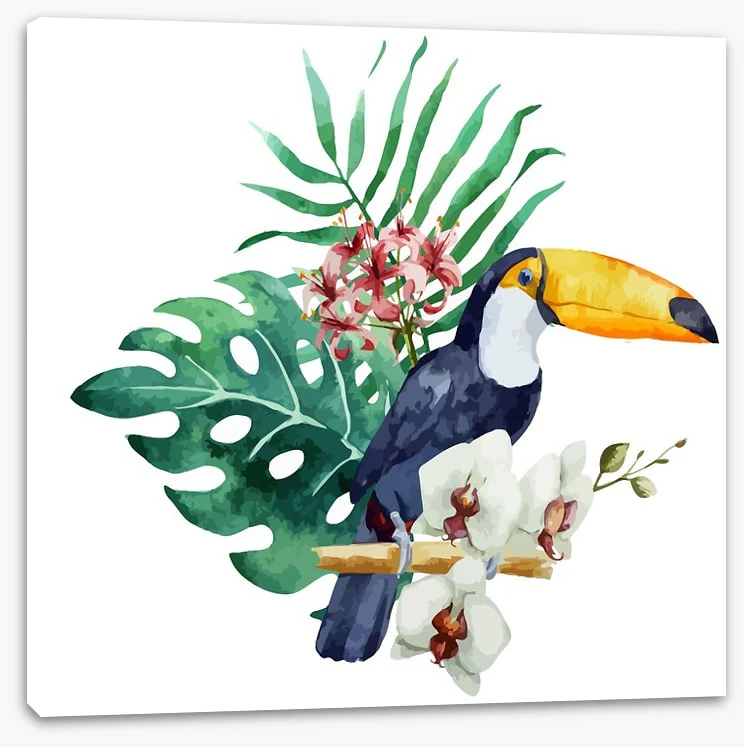 Toucan perch - Image 2