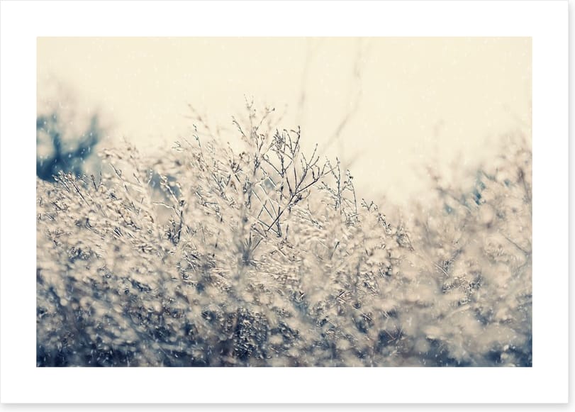 Touch of winter - Image 2