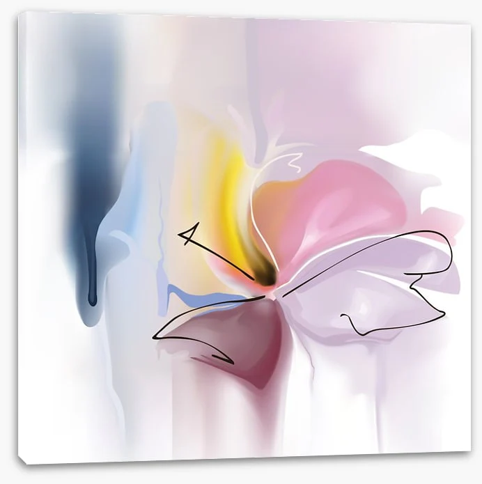 Transition - Image 2