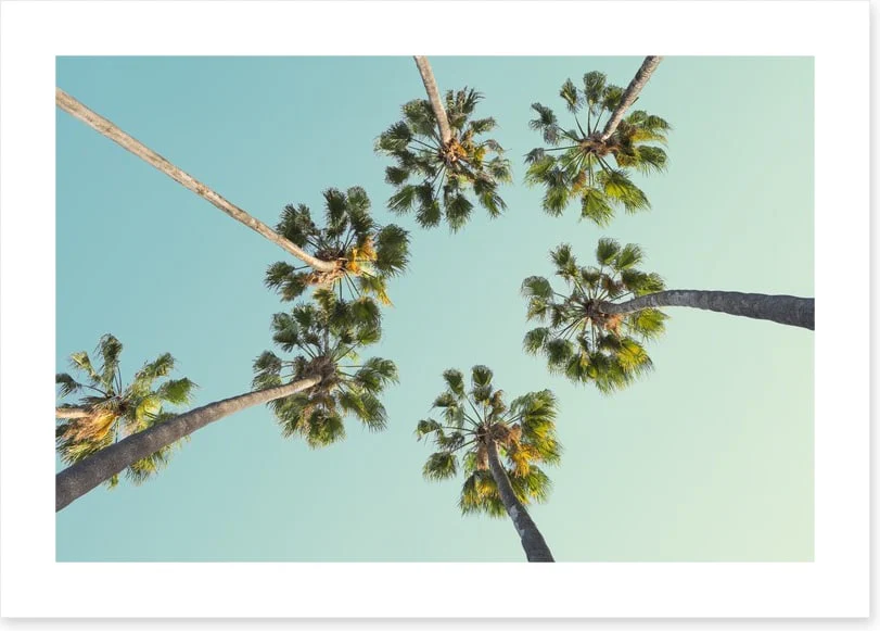Trees - Image 2