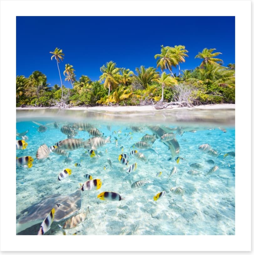 Tropical island paradise - Image 2