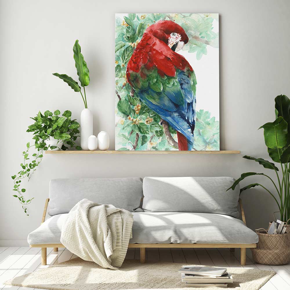 Tropical macaw - Image 3