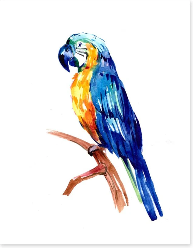 Tropical parrot perch - Image 2