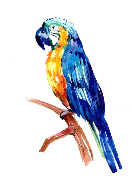 Tropical parrot perch
