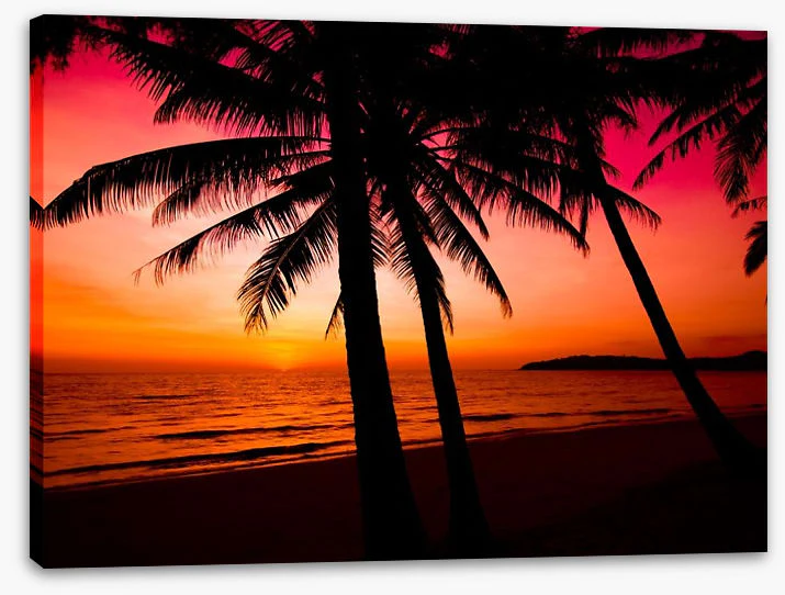 Tropical sunset silhouette - Image 2