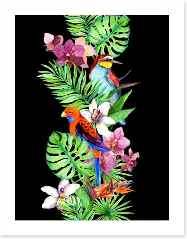 Tropical twist - Image 2