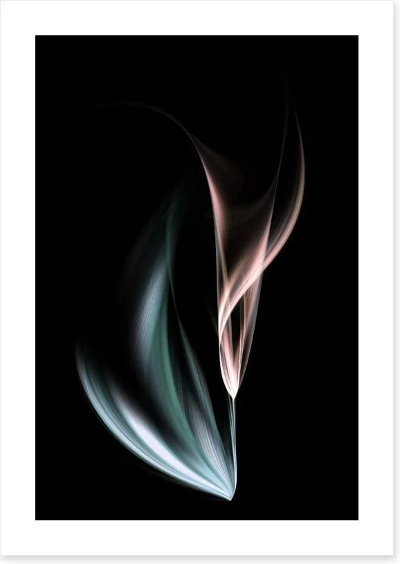 Tulip transition - Image 2