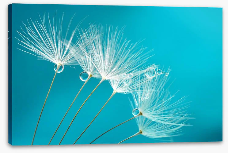 Turquoise droplets - Image 2