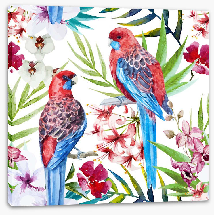 Two crimson rosellas - Image 2