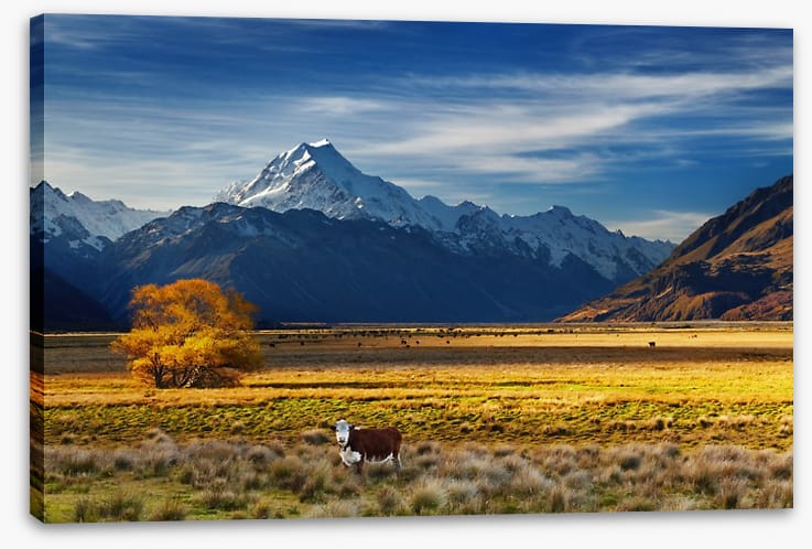 Under the shadow of Mount Cook - Image 2