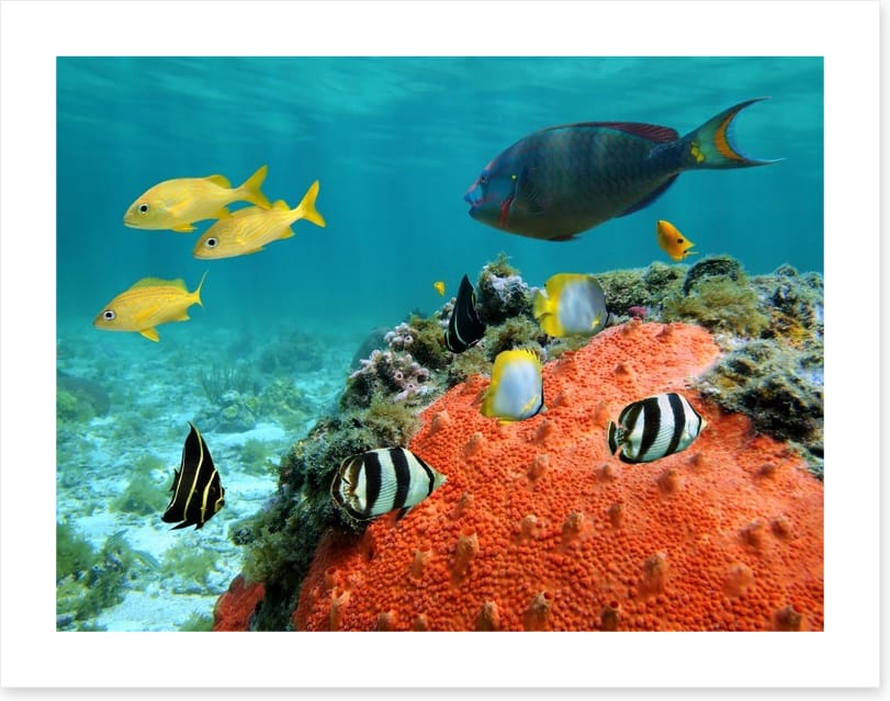 Underwater - Image 2